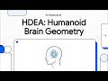 HDEA Humanoid Brain Geometry