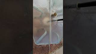 Firestik FS99 /  Top Section Replacement/Upgrade for the Antron A99 antenna