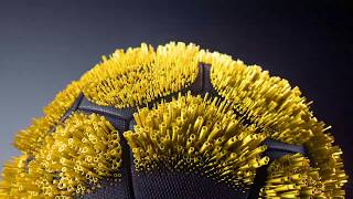 Fox Sports 4K Uhd Ident