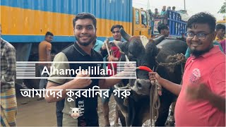 Alhamdulillah | Our Qurbani Cows | Gabtoli Haat | Qurbani 2023