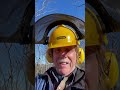 Reggae Day.  High Tree Work. #davebullardsongs ‘