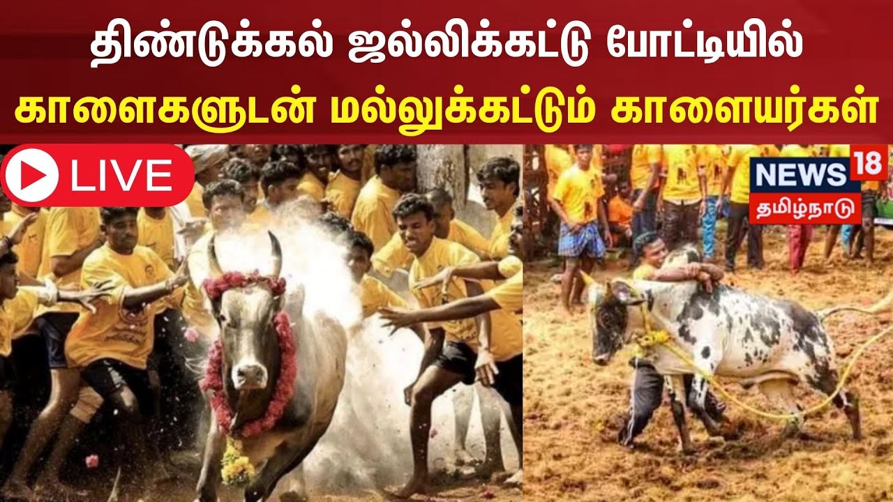 🔴LIVE: திண்டுக்கல் மாவட்டம் தவசி மேடை ஜல்லிக்கட்டு விழா | Dindigul | Jallikattu