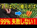 【秋まで収穫】7月に植える野菜ベスト5｜初心者が失敗しないコツと選び方