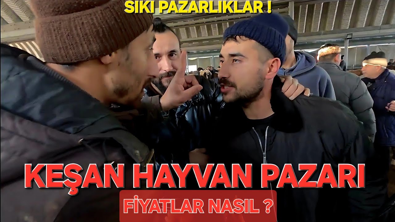KEŞAN HAYVAN PAZARI 2026 KURBANLIK FİYATLARI PAZARLIKLAR ÇOK SIKI🔥 @EreninBesiçiftliği @muratsavcı0 