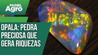 Opala Pedra Preciosa Que Gera Riquezas Em Pedro Ii