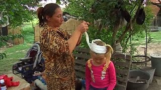 Трагедия, не считая собаки. Касается Каждого, эфир от 23.06.2015 Трагедия, не считая собаки. Касается Каждого, эфир от 23.06.2015