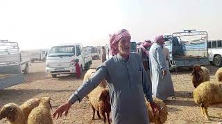 بيزار تل حسان    اكتوبر سوق ضعيف جدا بشكل عام            - اسمعها