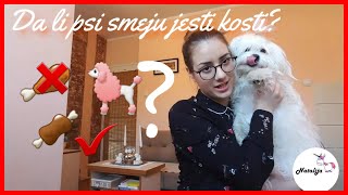 Da li psi smeju jesti kosti?🍖