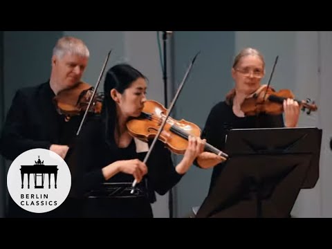 Concerto Köln - Vivaldi: Concerto in B Minor, RV 580: III. Allegro (Official Music Video)