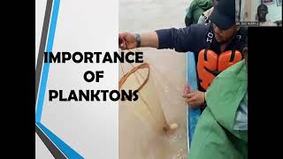 The techniques for the collection, preservation, and identification of phytoplankton.