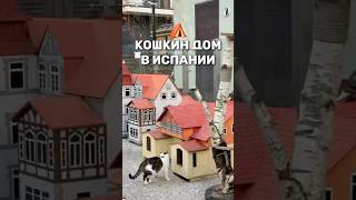 Валенсия построила домик… для котов 🐾