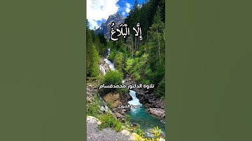 سورة الشورى الآية 48 #سورة_الشورى #سورة_الشورى #القرآن_الكريم #quran #قران_كريم #القرآن_الكريم