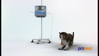 IP-200VET VET Infusion Pump 【promed】