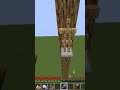 Minecraft 2 pillarer climbing #shorts