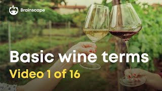 10 Basic wine terms you should know