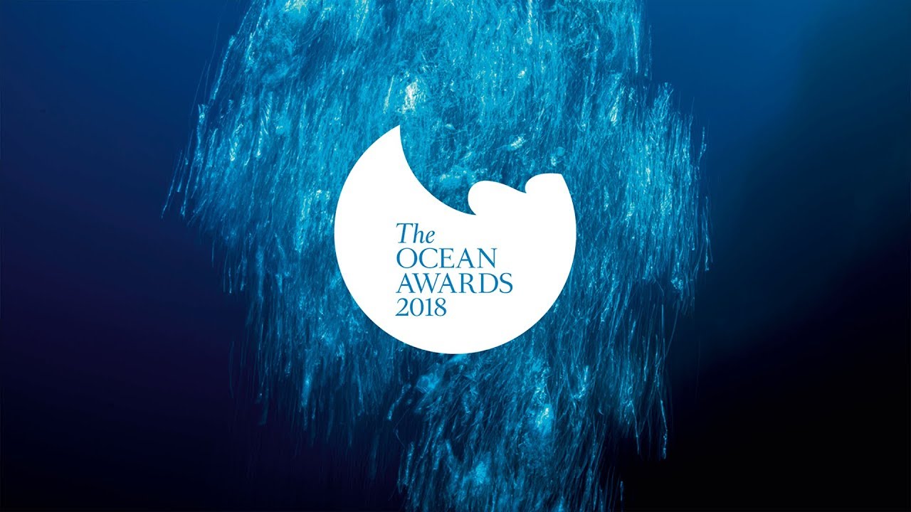 The Ocean Awards Finalists Announced YouTube