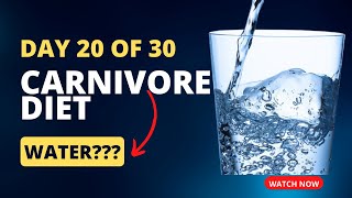 Carnivore Diet - Day 20 - The importance of water! screenshot 5