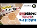 【探索蜂が訪れた時に、やるべき事とやってはいけない事】日本みつばちの養蜂 How to Beekeeping