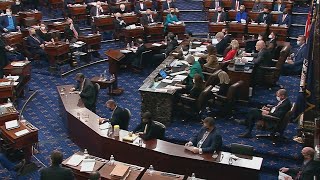 News4Jax political analyst: Expected impeachment vote came with a few surprises