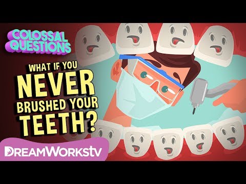 What If You NEVER Brushed Your Teeth? | COLOSSAL QUESTIONS