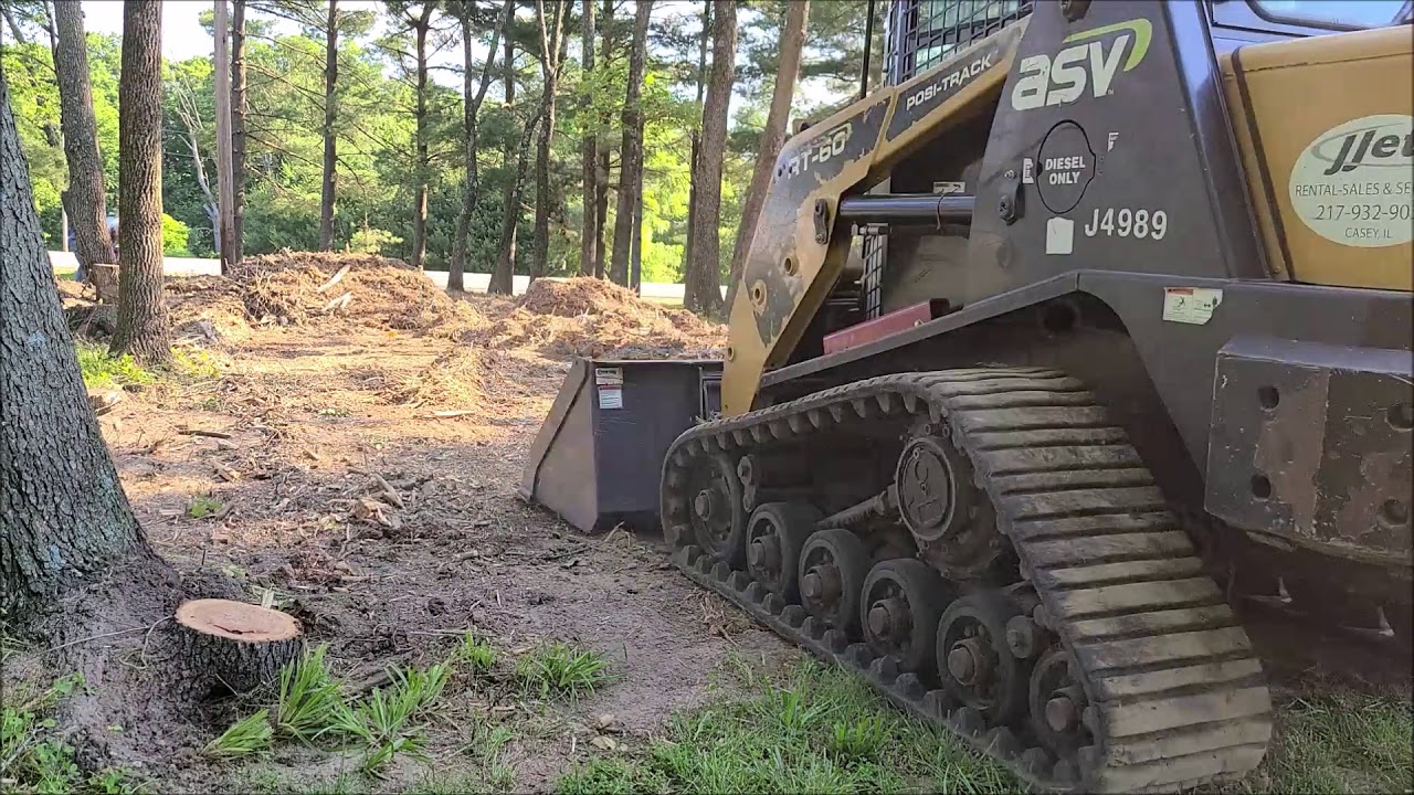 Cleaning up tree scraps - YouTube