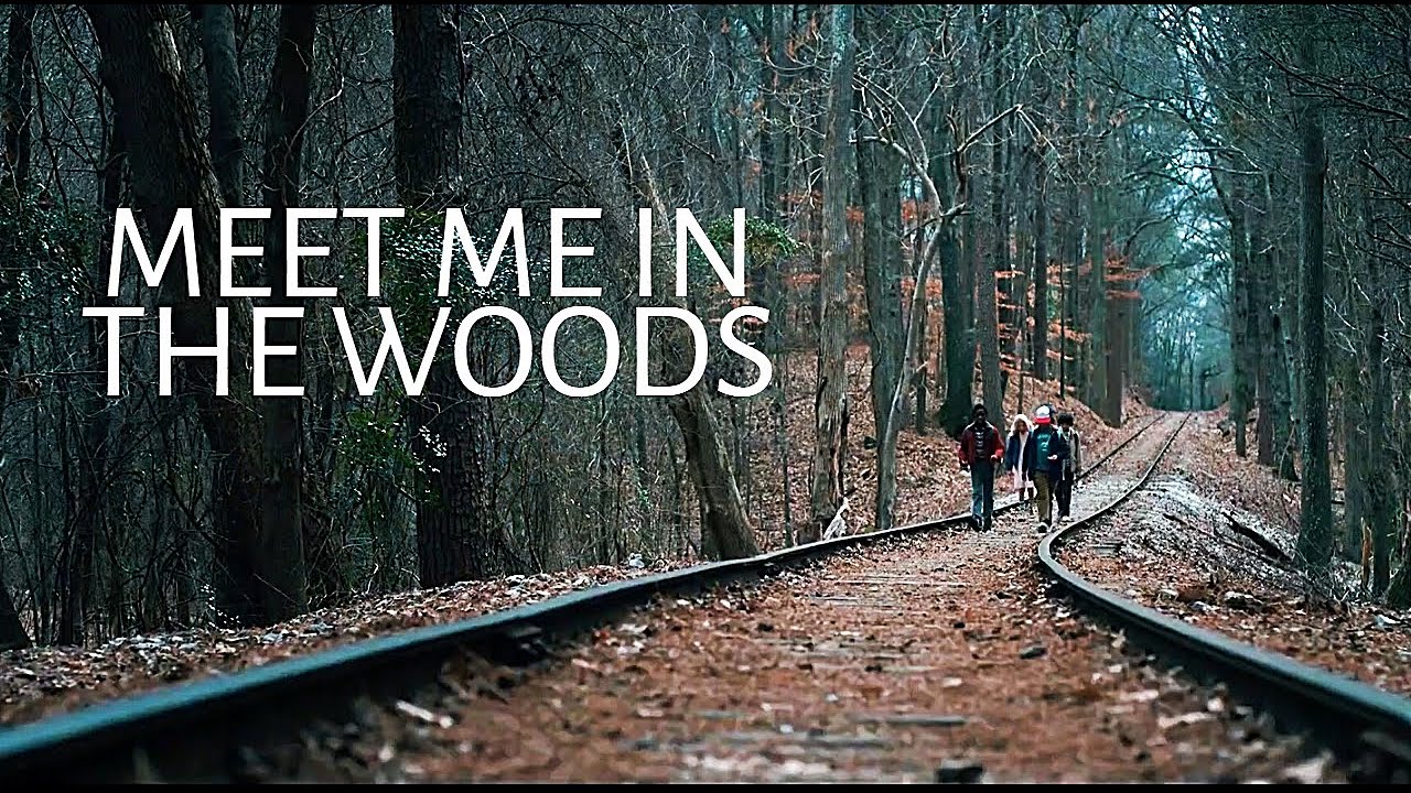 Stranger Things | Meet Me In The Woods