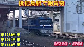基本同一列車の1250レと1550レを含む、貨物列車3本編集。