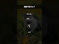 今日の英語フレーズ