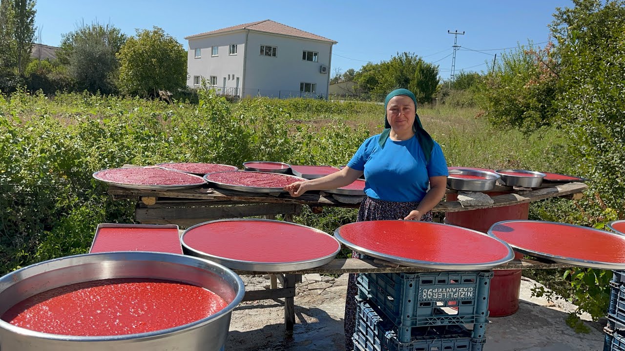 A dan Z ye tüm püf noktalarıyla salça yapımı |270 kilo domatesten salça yapımı mı❗️