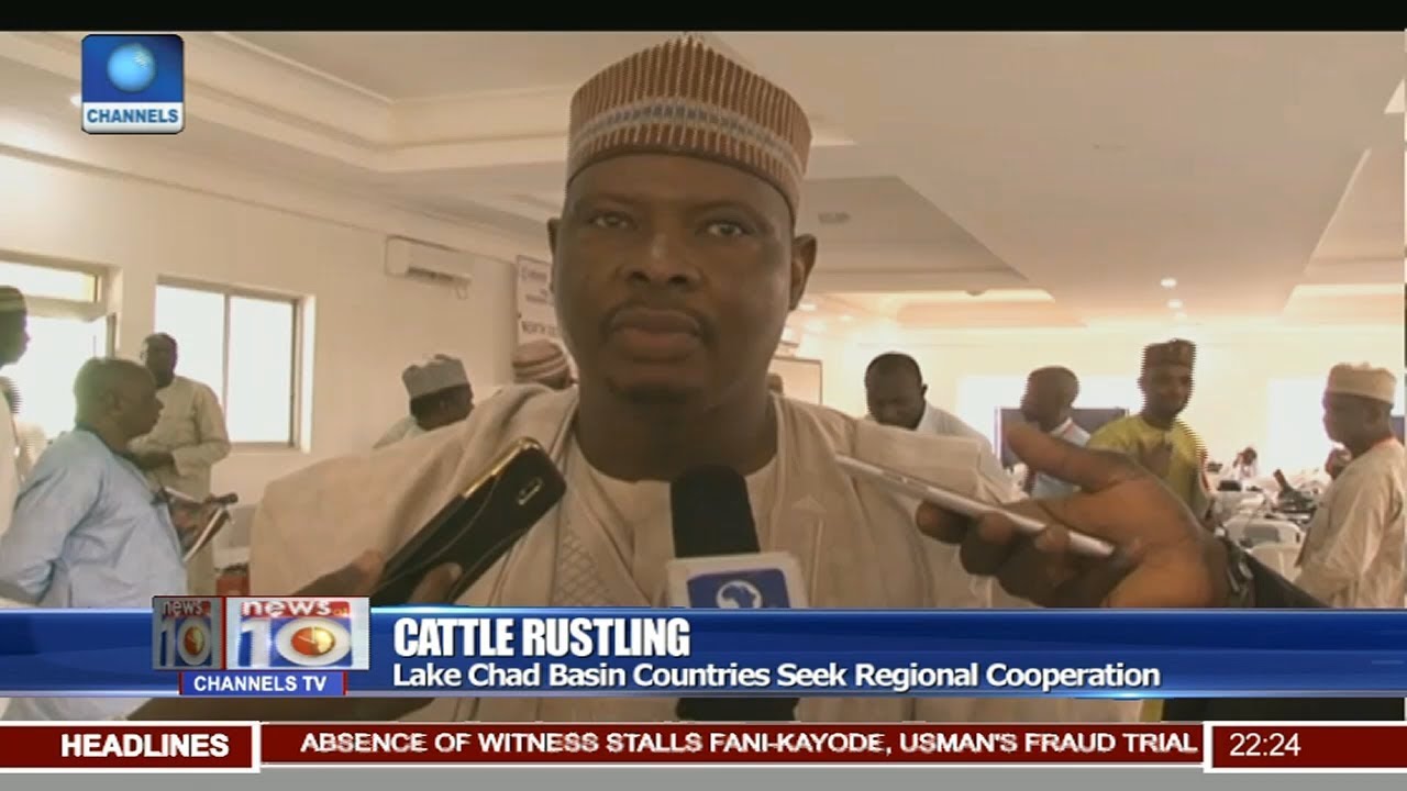 Lake Chad Basin Countries Seek Regional Cooperation Pt 2 | News@10 |
