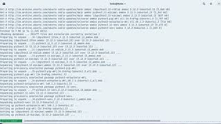 Setting up python on zorin os linux