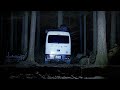 【リアル車中泊Vlog】川の音と焚き火に包まれる静かな森の夜/EVERY little D./ASMR