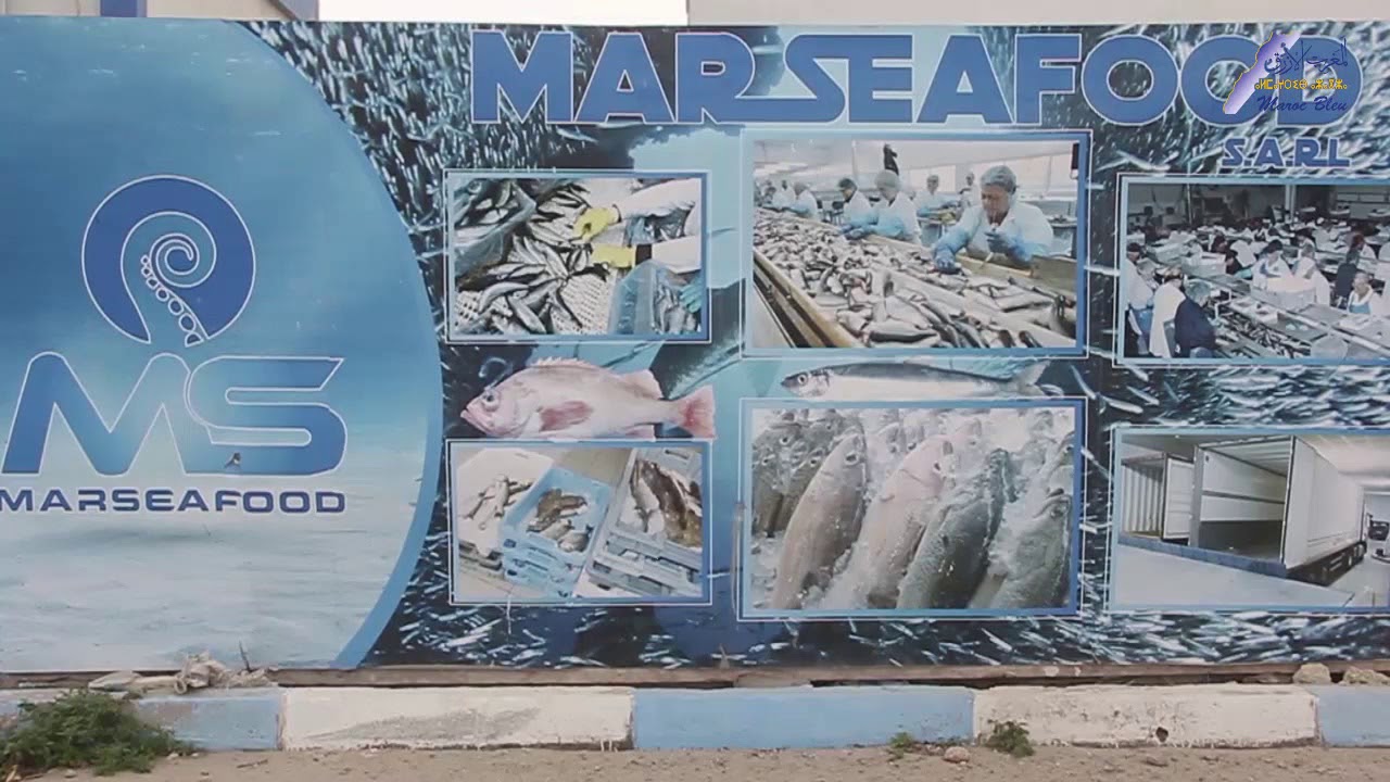 الداخلة نحو العالمية بأكبر وحدة للصناعات السمكية في افريقيا