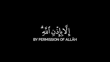 ما أصاب من مصيبة إلا بإذن الله | سورة التغابن | قرآن كريم شاشة سوداء 🌿