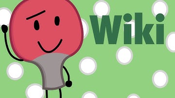 The Insane Battle Of Objects Wiki!