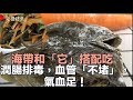 海帶和「它」搭配吃，潤腸排毒，讓你血管「不堵」，氣血足