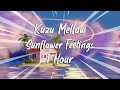 1 hour  kuzu mellow  sunflower feelings