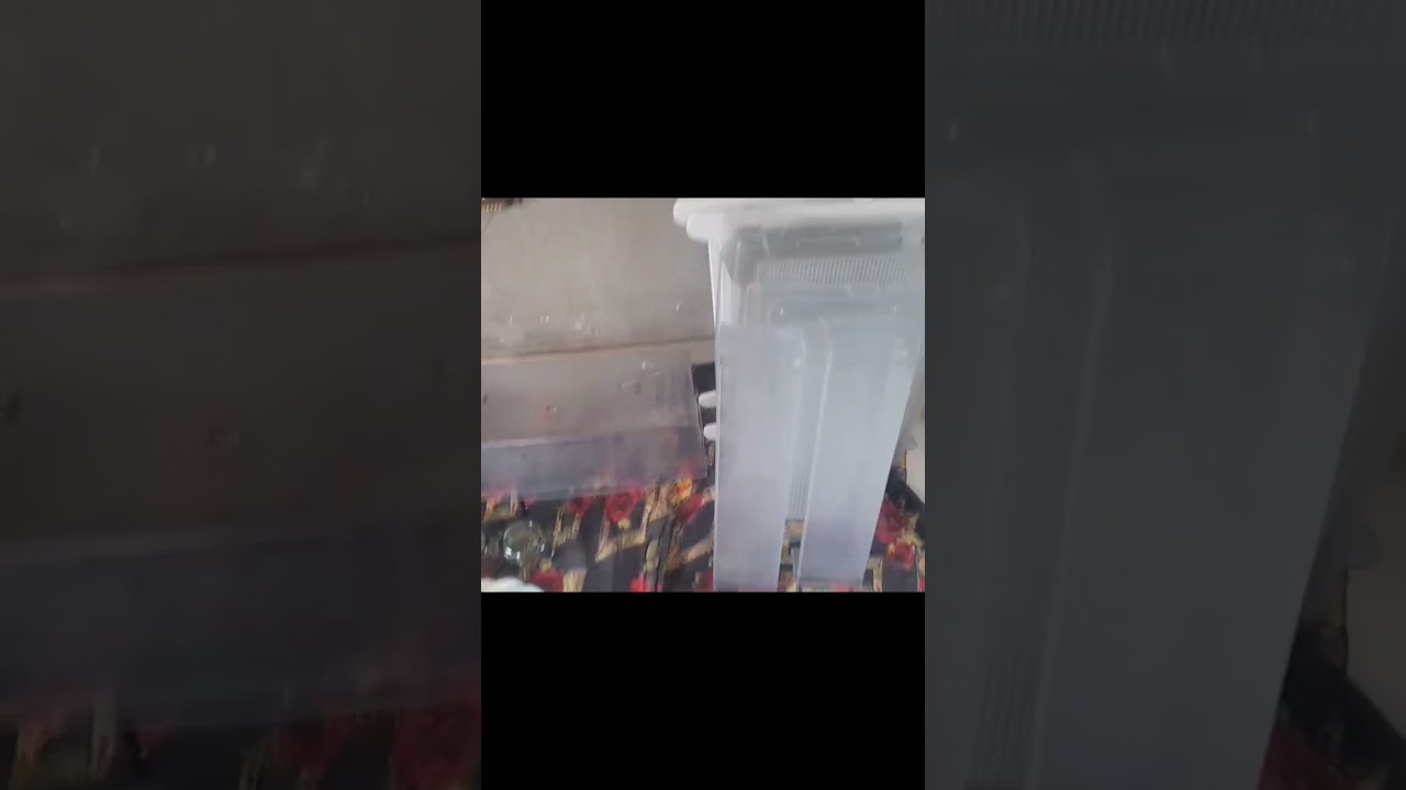 fridge deep cleaning  ✨️|| my fridge cleaning  routine 😊