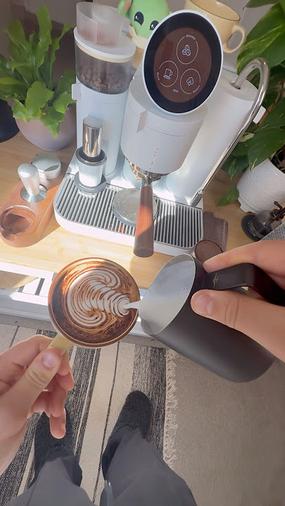 Perfect Cappuccino with the Meraki 👌