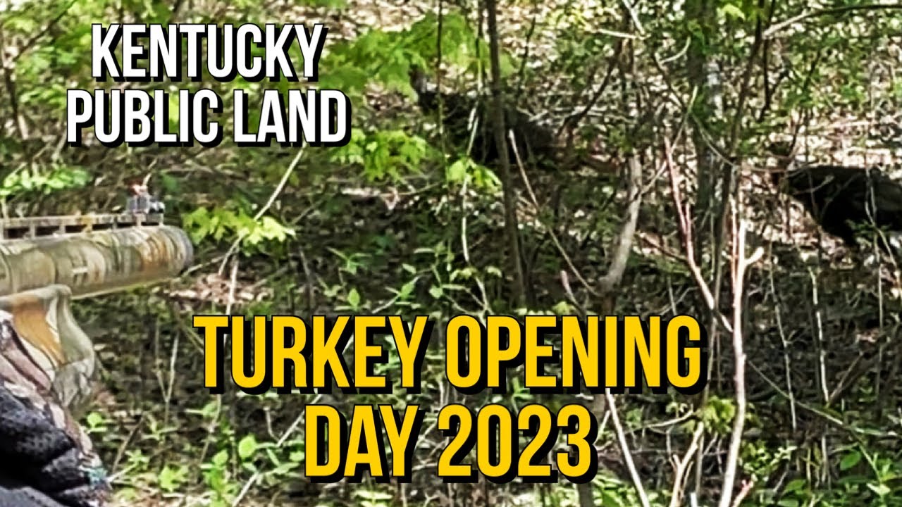 Kentucky Turkey Opening Day 2023 Public Land Turkey Hunting Hunters