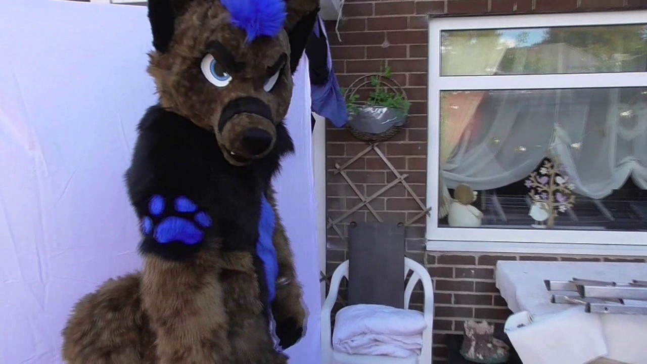 Rommel the Fox by Fursuits UK