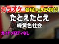【カラオケ】たとえたとえ / 緑黄色社会 【歌詞・音程バー付】ガイドメロディなし