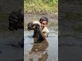 "সেই স্বাদ বিলের শোলমাছ বলে কথা"!#foryou #viral #shorts #fish #fishingvideo#fishing