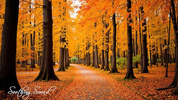 Beautiful Relaxing Music 🍁 Stop Overthinking, Stress Relief Music With Autumn Melodie