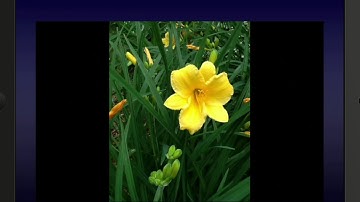 Epson iProjection | How to Project Images