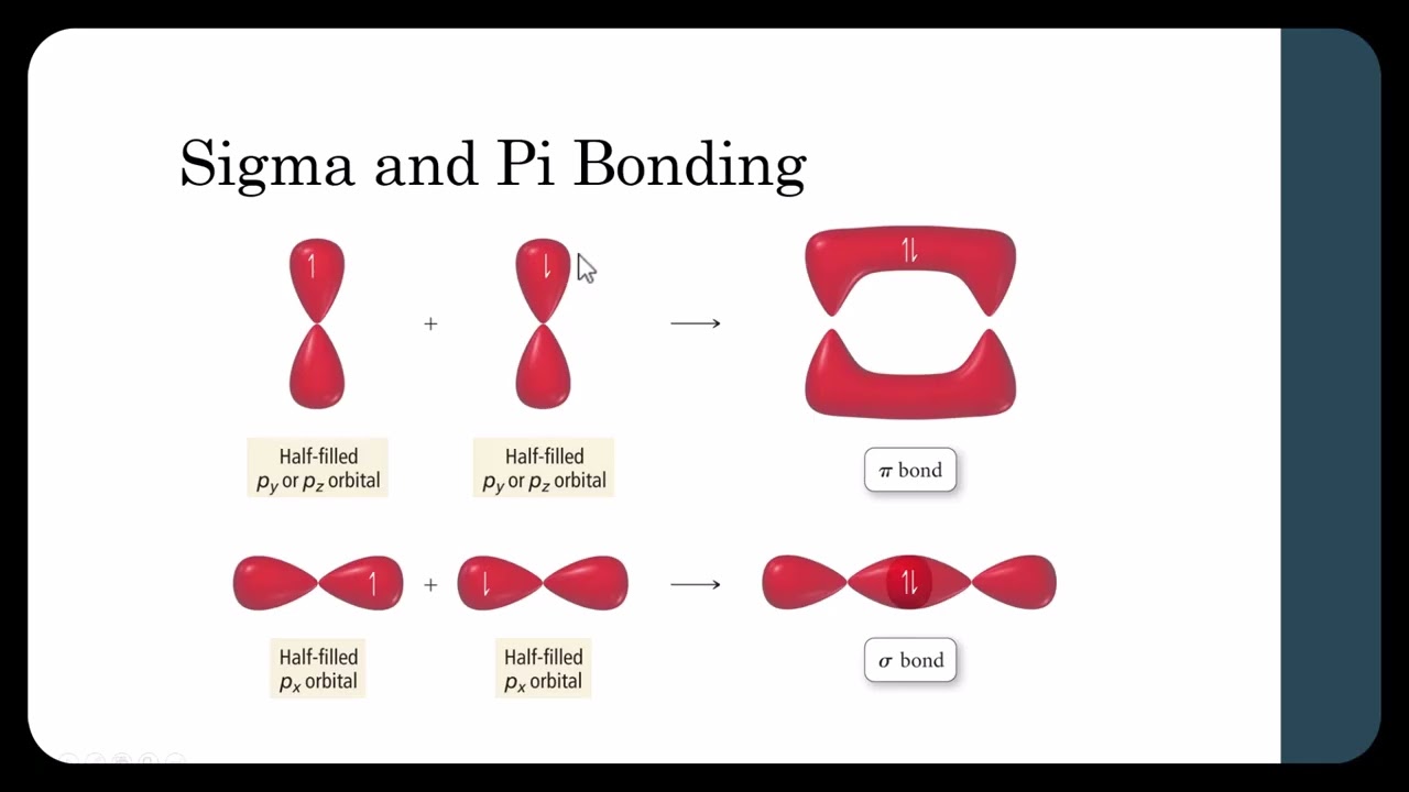 pi and sigma bonds