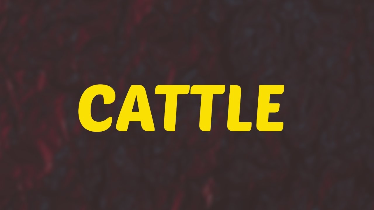 What Does CATTLE Means Meanings And Definitions With Example in