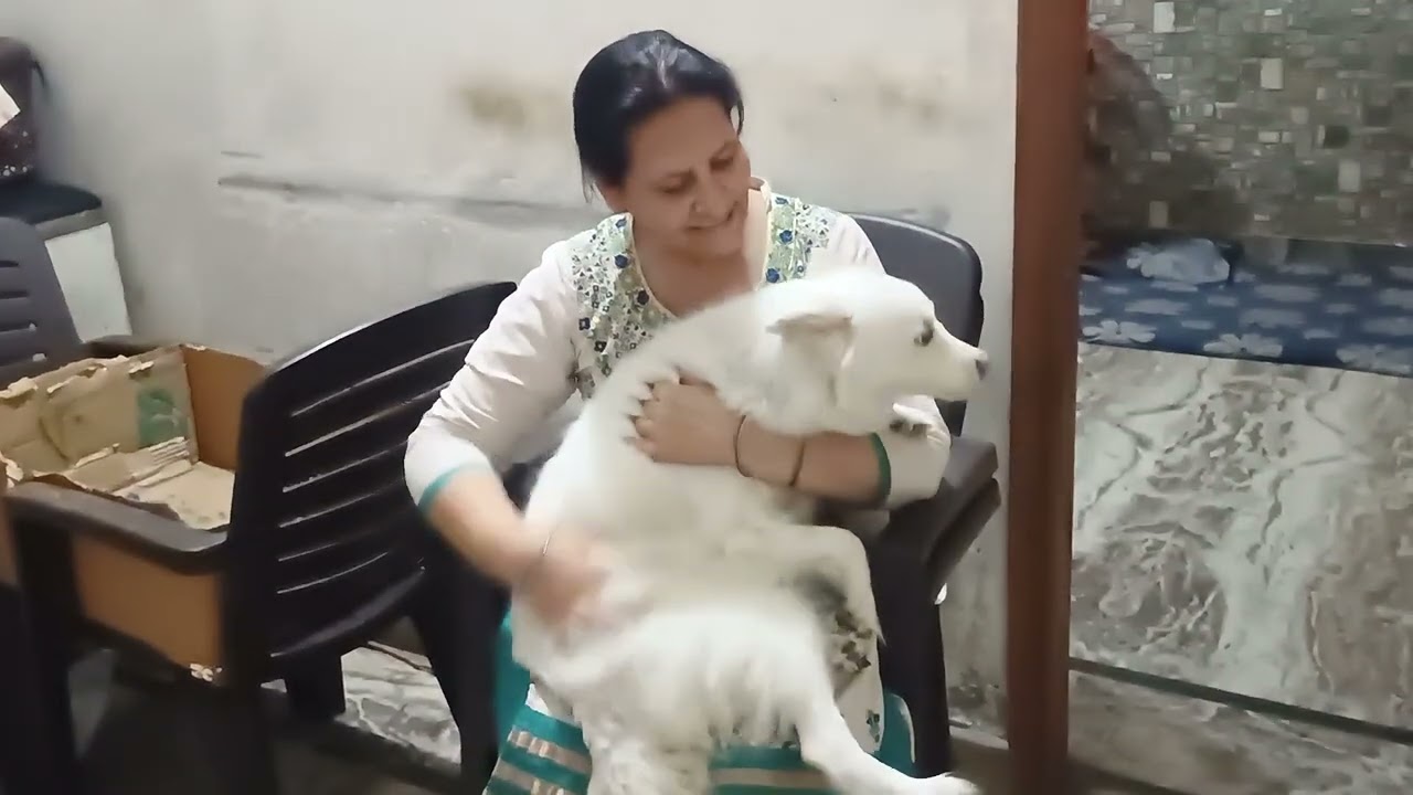 Kese khel rahi hai ye 😂 vlog