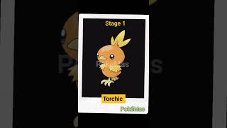 Famous Evolution Of Torchic|#24|PokeMas| #pokemon Net Worth