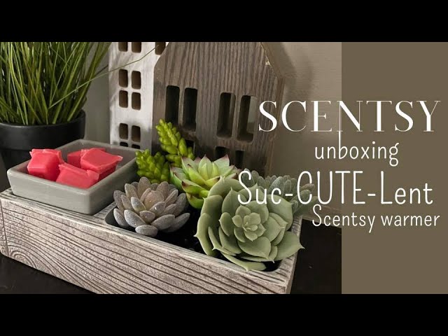 New Scentsy Suc Cute Lent Warmer For May Palm Trees And Ocean Breeze Scentsy Scent Unboxing Youtube
